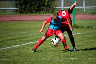 开云网页版-中国足球俱乐部运营效率调查，中国足球俱乐部运营效率调查问卷