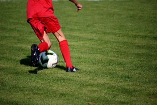 开云·体育官网-篮球运动员心理健康维护服务体系研究，篮球心理技能训练计划